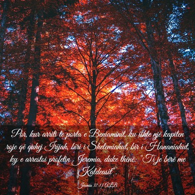 Picture 03 - Jeremia 37:13 ALB - Por, kur arriti te porta e Beniaminit, ku ishte - Bible Verse Picture