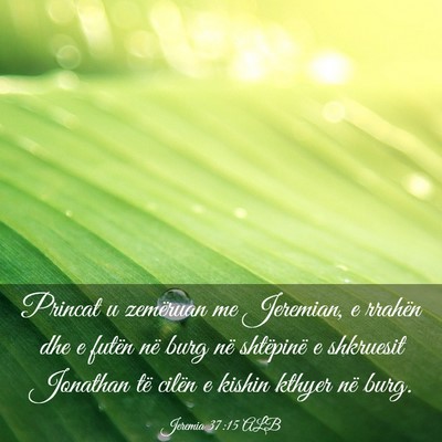 Picture 03 - Jeremia 37:15 ALB - Princat u zemëruan me Jeremian, e rrahën dhe e - Bible Verse Picture