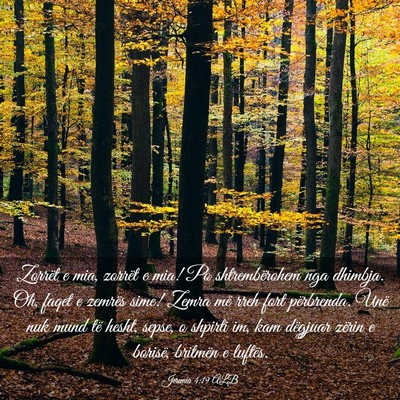 Picture 03 - Jeremia 4:19 ALB - Zorrët e mia, zorrët e mia! Po shtrembërohem - Bible Verse Picture
