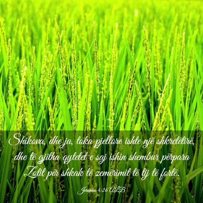 Picture 03 - Jeremia 4:26 ALB - Shikova, dhe ja, toka pjellore ishte një - Bible Verse Picture