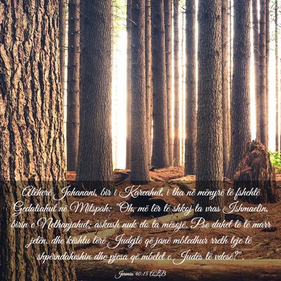 Picture 03 - Jeremia 40:15 ALB - Atëherë Johanani, bir i Kareahut, i tha në - Bible Verse Picture