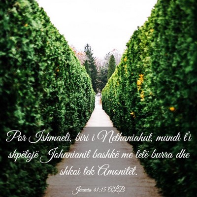 Picture 03 - Jeremia 41:15 ALB - Por Ishmaeli, biri i Nethaniahut, mundi t’i - Bible Verse Picture