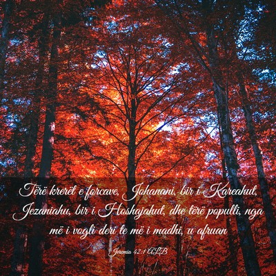 Picture 03 - Jeremia 42:1 ALB - Tërë krerët e forcave, Johanani, bir i - Bible Verse Picture