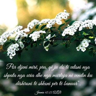 Picture 03 - Jeremia 42:22 ALB - Por dijeni mirë, pra, që ju do të vdisni nga - Bible Verse Picture