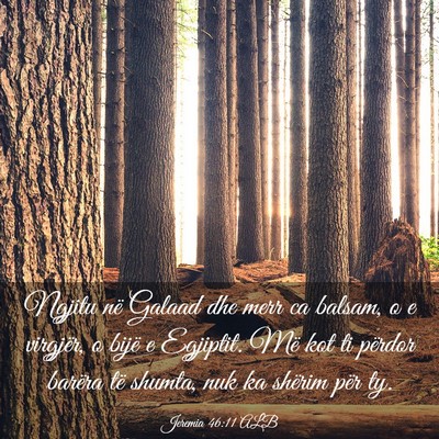 Picture 03 - Jeremia 46:11 ALB - Ngjitu në Galaad dhe merr ca balsam, o e - Bible Verse Picture
