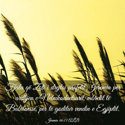 Picture 03 - Jeremia 46:13 ALB - Fjala që Zoti i drejtoi profetit Jeremia për - Bible Verse Picture