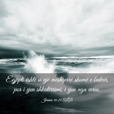 Picture 03 - Jeremia 46:20 ALB - Egjipti është si një mëshqerrë shumë e - Bible Verse Picture