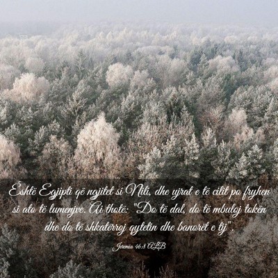 Picture 03 - Jeremia 46:8 ALB - Éshtë Egjipti që ngjitet si Nili, dhe ujrat e - Bible Verse Picture