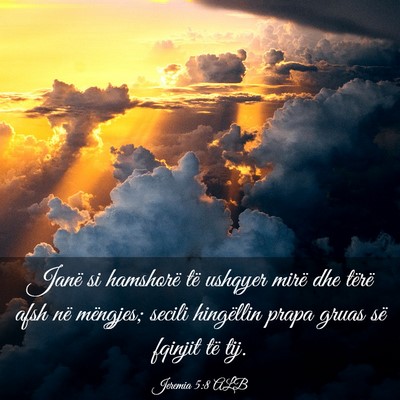 Picture 03 - Jeremia 5:8 ALB - Janë si hamshorë të ushqyer mirë dhe tërë - Bible Verse Picture
