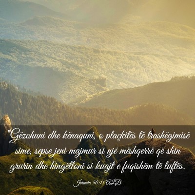 Picture 03 - Jeremia 50:11 ALB - 