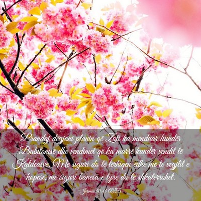 Picture 03 - Jeremia 50:45 ALB - Prandaj dëgjoni planin që Zoti ka menduar - Bible Verse Picture