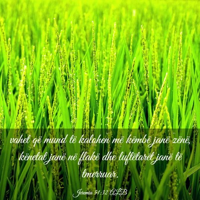 Picture 03 - Jeremia 51:32 ALB - vahet që mund të kalohen më këmbë janë - Bible Verse Picture