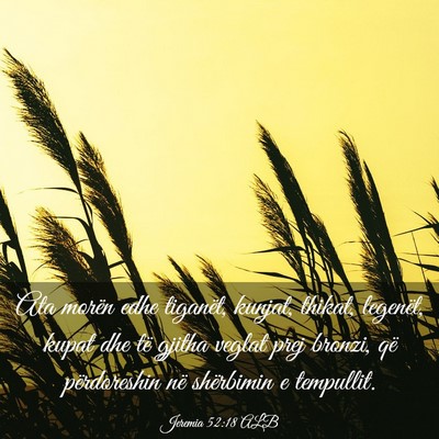 Picture 03 - Jeremia 52:18 ALB - Ata morën edhe tiganët, kunjat, thikat, - Bible Verse Picture