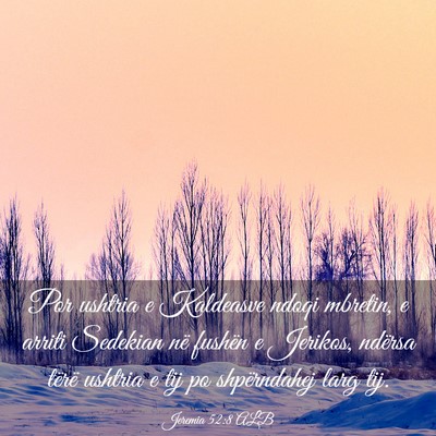 Picture 03 - Jeremia 52:8 ALB - Por ushtria e Kaldeasve ndoqi mbretin, e arriti - Bible Verse Picture