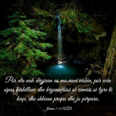 Picture 03 - Jeremia 7:24 ALB - Por ata nuk dëgjuan as ma vunë veshin, por - Bible Verse Picture