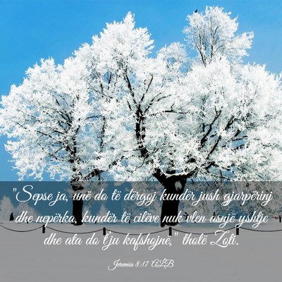Picture 03 - Jeremia 8:17 ALB - 