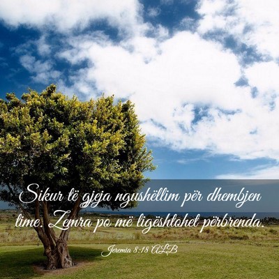 Picture 03 - Jeremia 8:18 ALB - Sikur të gjeja ngushëllim për dhembjen time. - Bible Verse Picture