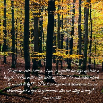 Picture 03 - Jeremia 8:19 ALB - Ja një zë: është britma e bijës së popullit - Bible Verse Picture