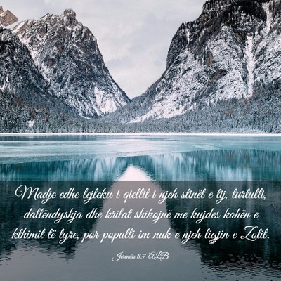 Picture 03 - Jeremia 8:7 ALB - Madje edhe lejleku i qiellit i njeh stinët e - Bible Verse Picture