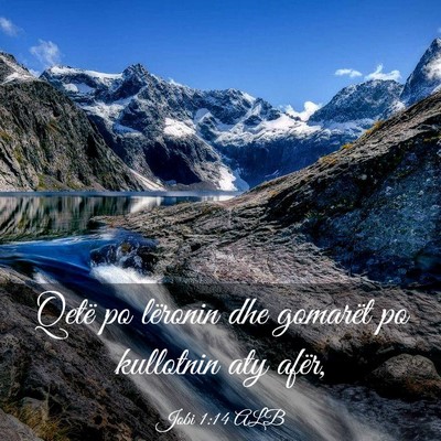 Picture 03 - Jobi 1:14 ALB - Qetë po lëronin dhe gomarët po kullotnin aty - Bible Verse Picture