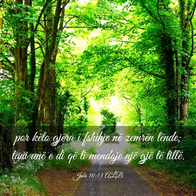 Picture 03 - Jobi 10:13 ALB - por këto gjëra i fshihje në zemrën tënde; - Bible Verse Picture