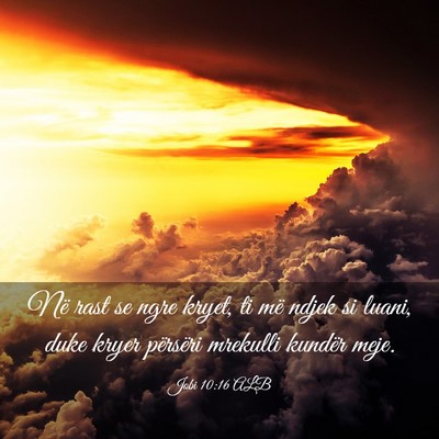 Picture 03 - Jobi 10:16 ALB - Në rast se ngre kryet, ti më ndjek si luani, - Bible Verse Picture