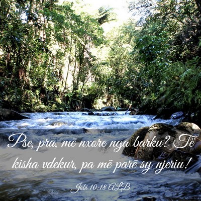 Picture 03 - Jobi 10:18 ALB - Pse, pra, më nxore nga barku? Të kisha vdekur, - Bible Verse Picture