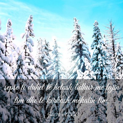 Picture 03 - Jobi 10:6 ALB - sepse ti duhet të hetosh lidhur me fajin tim dhe - Bible Verse Picture