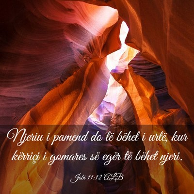 Picture 03 - Jobi 11:12 ALB - Njeriu i pamend do të bëhet i urtë, kur - Bible Verse Picture