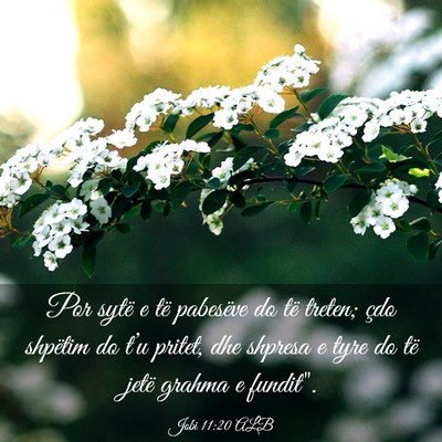 Picture 03 - Jobi 11:20 ALB - Por sytë e të pabesëve do të treten; çdo - Bible Verse Picture