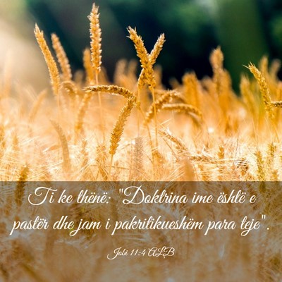 Picture 03 - Jobi 11:4 ALB - Ti ke thënë: 