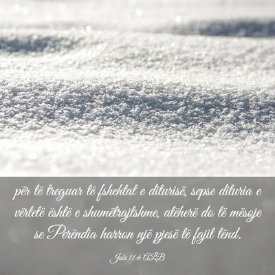 Picture 03 - Jobi 11:6 ALB - për të treguar të fshehtat e diturisë, sepse - Bible Verse Picture
