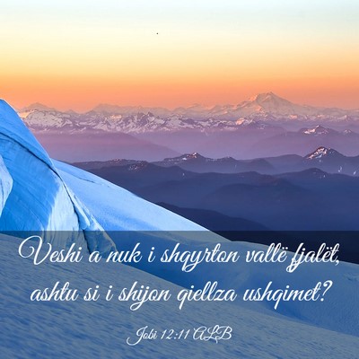 Picture 03 - Jobi 12:11 ALB - Veshi a nuk i shqyrton vallë fjalët, ashtu si i - Bible Verse Picture