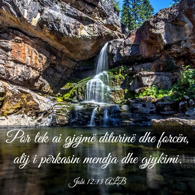 Picture 03 - Jobi 12:13 ALB - Por tek ai gjejmë diturinë dhe forcën, atij i - Bible Verse Picture