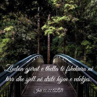 Picture 03 - Jobi 12:22 ALB - Zbulon gjërat e thella të fshehura në terr dhe - Bible Verse Picture