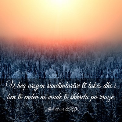 Picture 03 - Jobi 12:24 ALB - U heq arsyen sundimtarëve të tokës dhe i bën - Bible Verse Picture