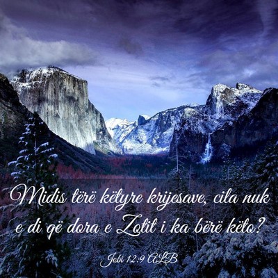 Picture 03 - Jobi 12:9 ALB - Midis tërë këtyre krijesave, cila nuk e di që - Bible Verse Picture