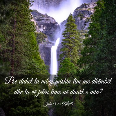 Picture 03 - Jobi 13:14 ALB - Pse duhet ta mbaj mishin tim me dhëmbët dhe ta - Bible Verse Picture