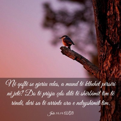 Picture 03 - Jobi 14:14 ALB - Në qoftë se njeriu vdes, a mund të kthehet - Bible Verse Picture