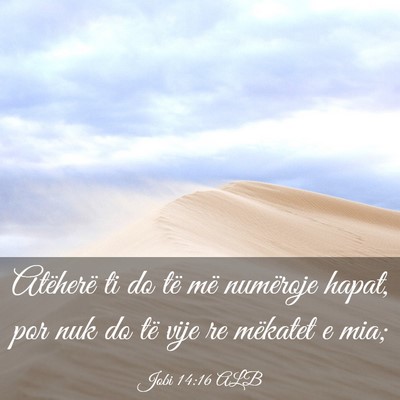 Picture 03 - Jobi 14:16 ALB - Atëherë ti do të më numëroje hapat, por nuk - Bible Verse Picture