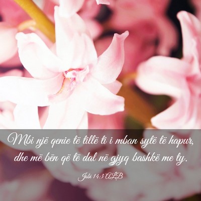 Picture 03 - Jobi 14:3 ALB - Mbi një qenie të tillë ti i mban sytë të - Bible Verse Picture