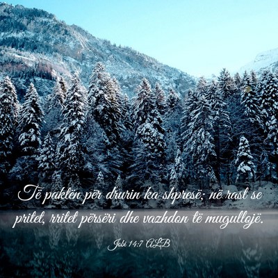 Picture 03 - Jobi 14:7 ALB - Të paktën për drurin ka shpresë; në rast se - Bible Verse Picture