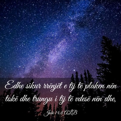 Picture 03 - Jobi 14:8 ALB - Edhe sikur rrënjët e tij të plaken nën tokë - Bible Verse Picture