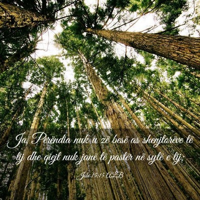 Picture 03 - Jobi 15:15 ALB - Ja, Perëndia nuk u zë besë as shenjtorëve të - Bible Verse Picture