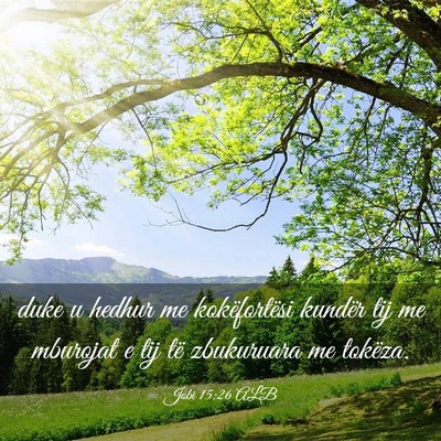 Picture 03 - Jobi 15:26 ALB - duke u hedhur me kokëfortësi kundër tij me - Bible Verse Picture