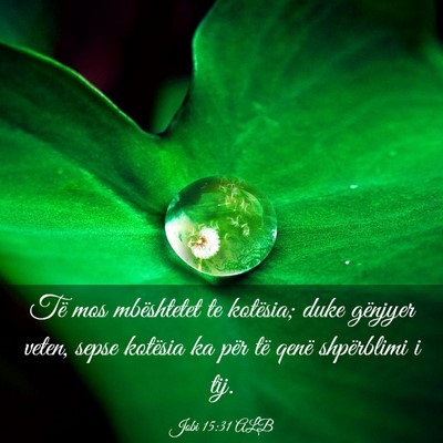 Picture 03 - Jobi 15:31 ALB - Të mos mbështetet te kotësia; duke gënjyer - Bible Verse Picture