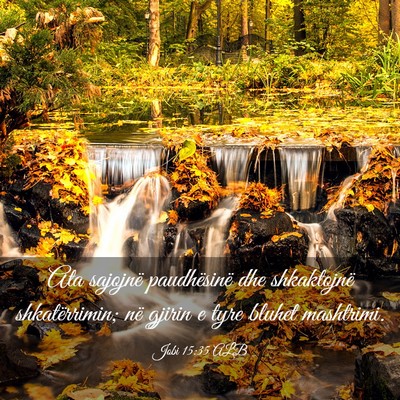 Picture 03 - Jobi 15:35 ALB - Ata sajojnë paudhësinë dhe shkaktojnë - Bible Verse Picture