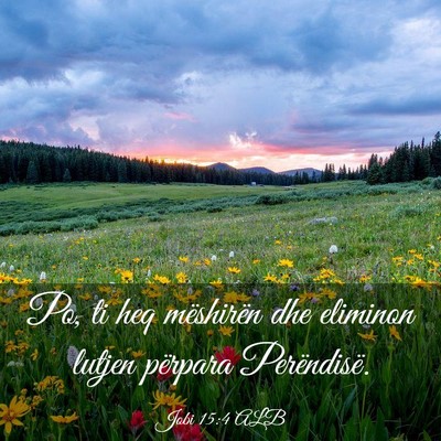 Picture 03 - Jobi 15:4 ALB - Po, ti heq mëshirën dhe eliminon lutjen - Bible Verse Picture