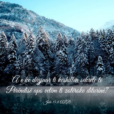 Picture 03 - Jobi 15:8 ALB - A e ke dëgjuar ti këshillën sekrete të - Bible Verse Picture