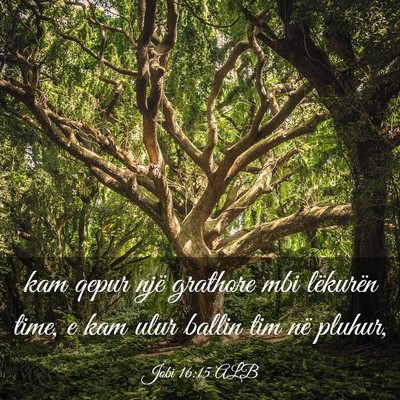 Picture 03 - Jobi 16:15 ALB - kam qepur një grathore mbi lëkurën time, e kam - Bible Verse Picture